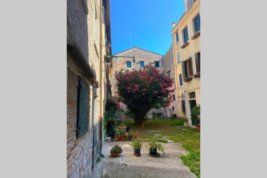 The Glamour Of San Marco Apartment Venice Luaran gambar